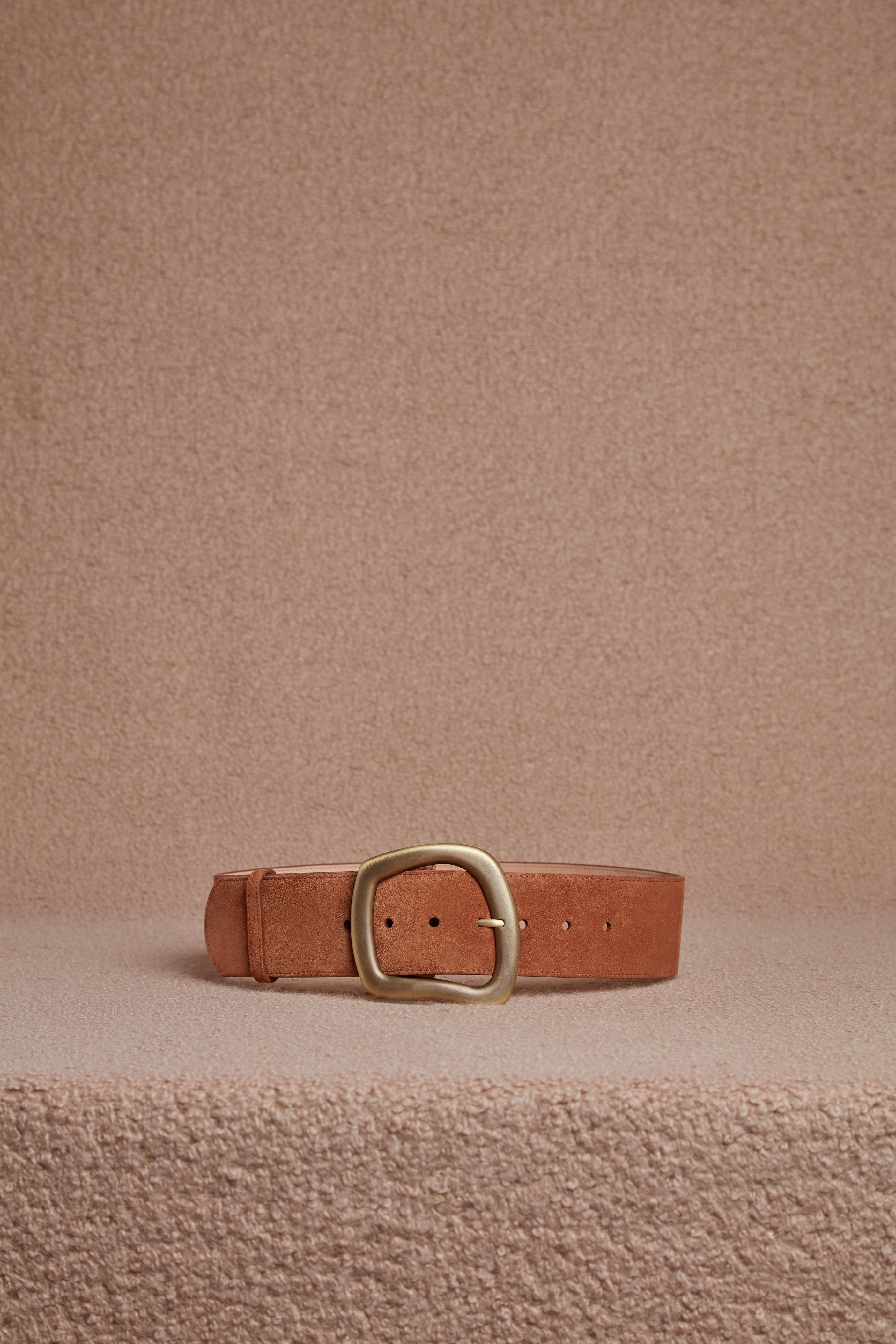 Large Simone Belt in Suede - 5