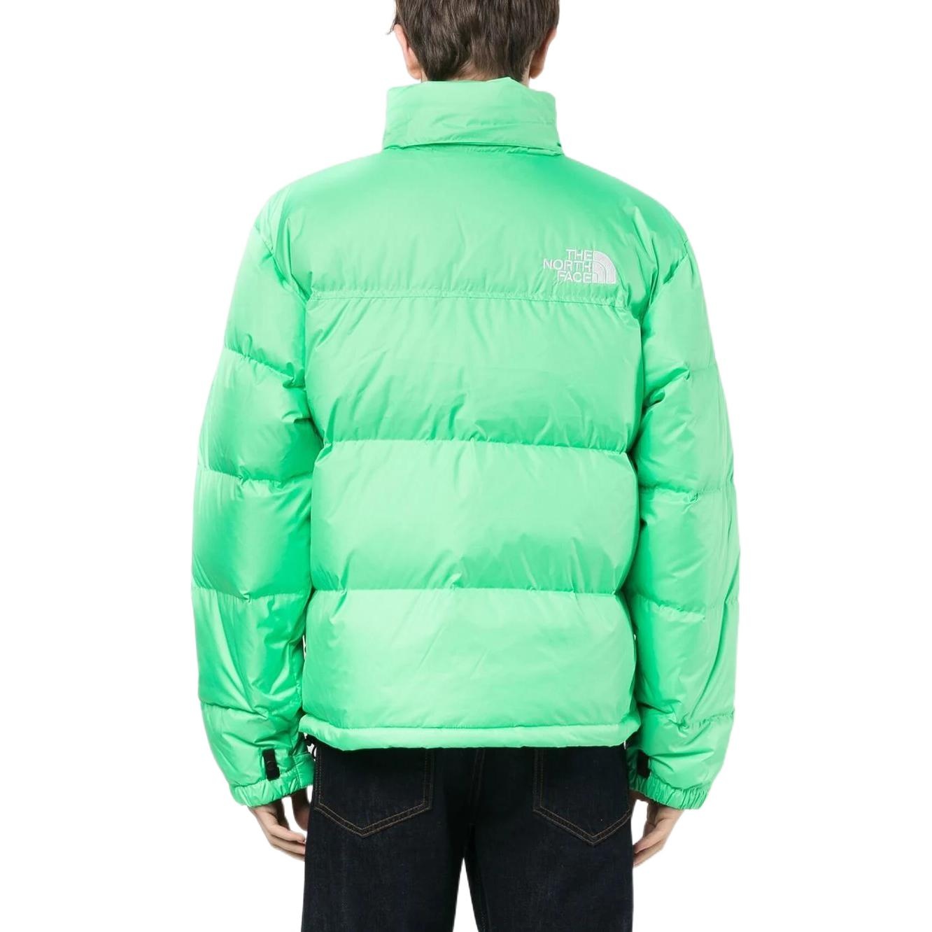THE NORTH FACE 1996 Nuptse Jacket 700 NF0A3C8D-8YK - 3