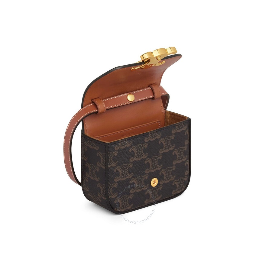 Celine Triomphe Canvas and Calfskin Mini Claude Bag - 4
