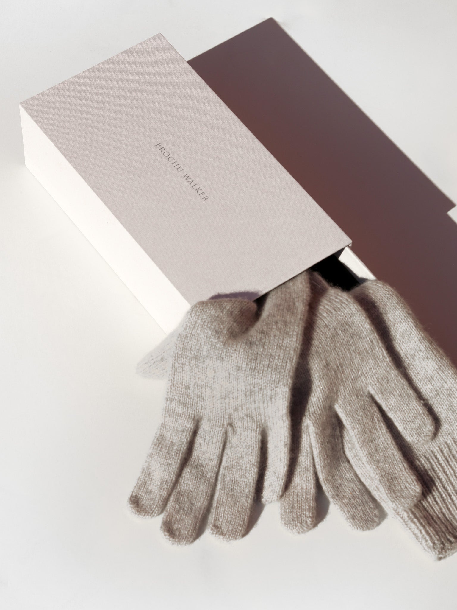 The Cashmere Gloves - 2