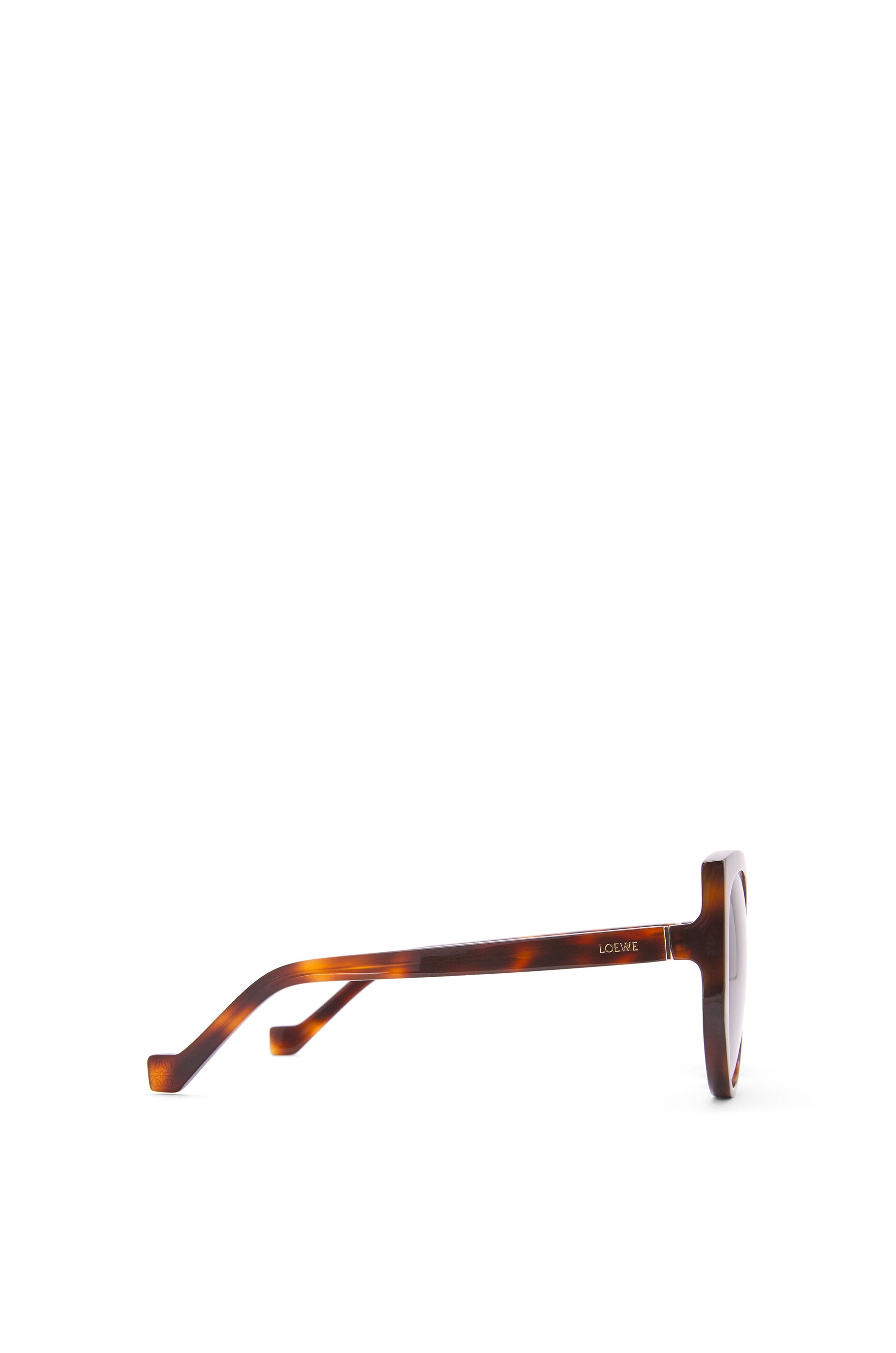 Butterfly sunglasses in acetate - 3