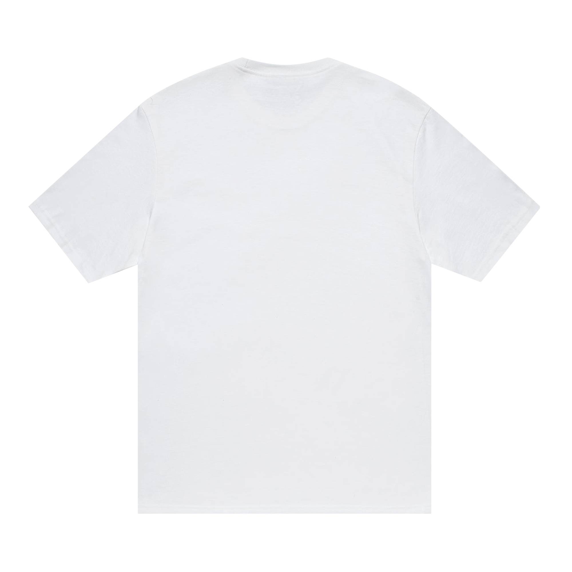 Stussy Dobermans Tee 'White' - 2
