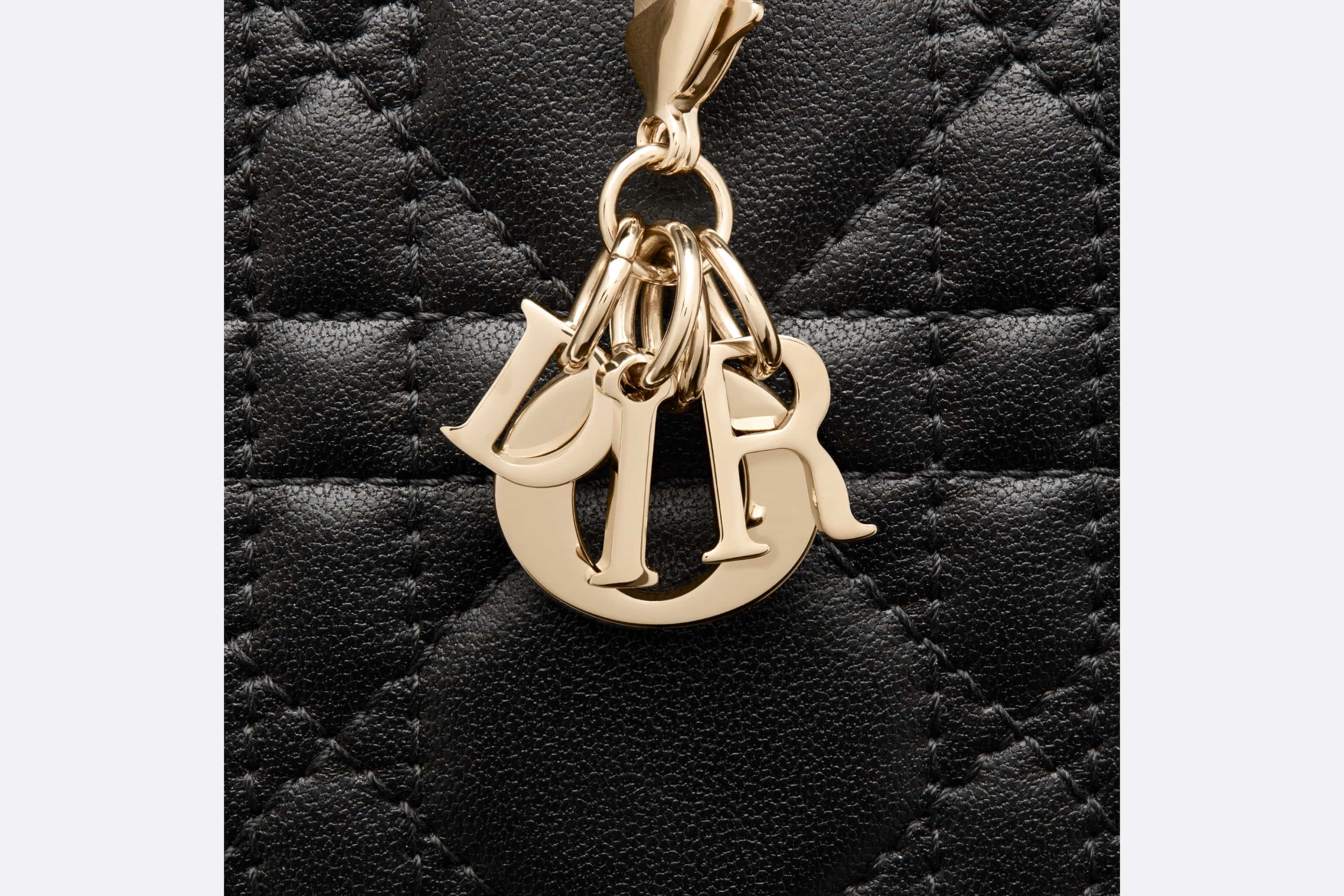 Lady Dior Voyageur Small Coin Purse - 5