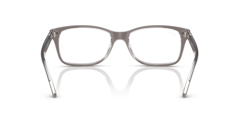 RB5428 OPTICS 6