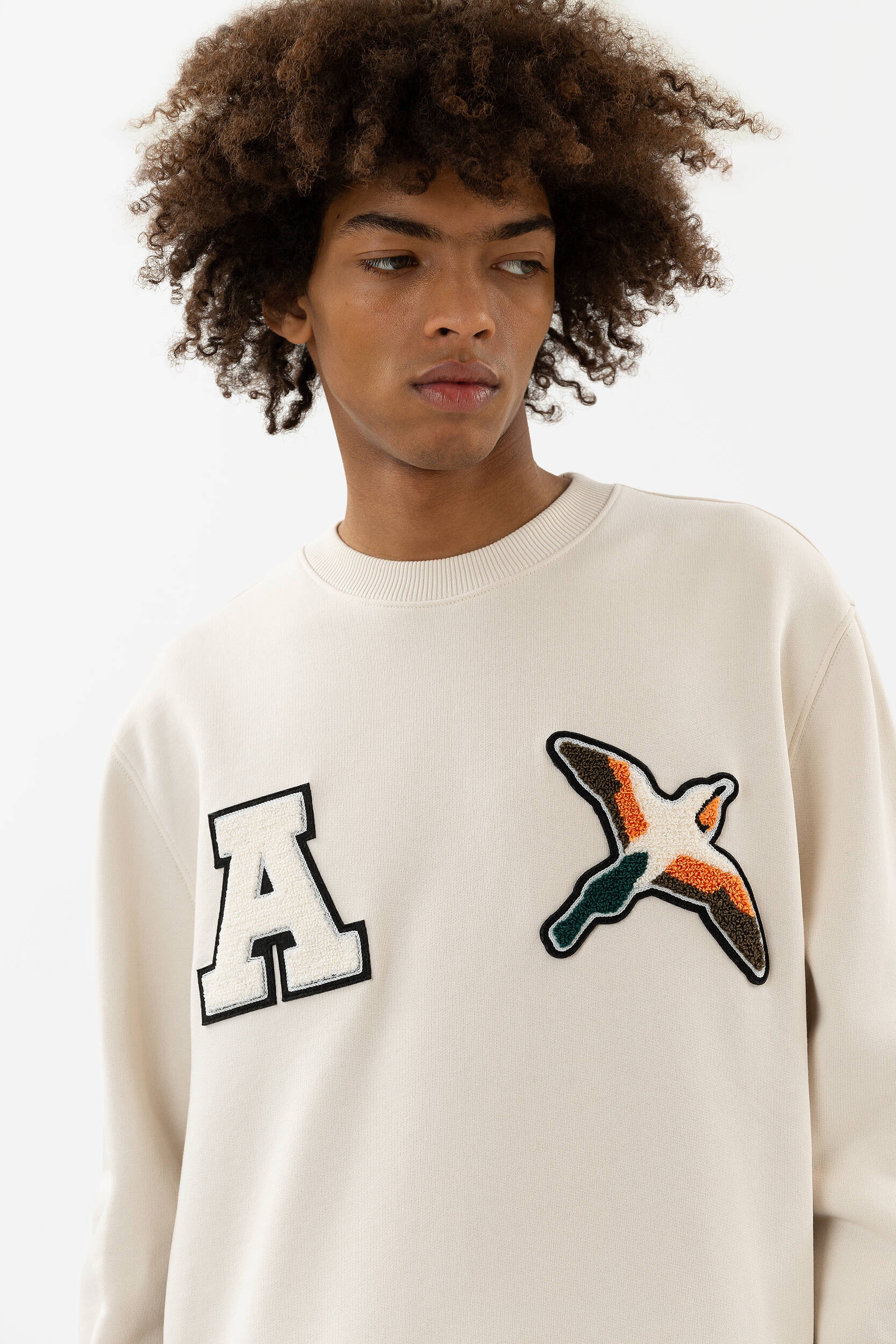 Varsity Bee Bird Sweatshirt - 5