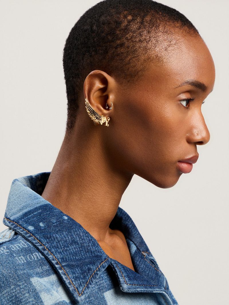 Wings Earring Jewelry 3