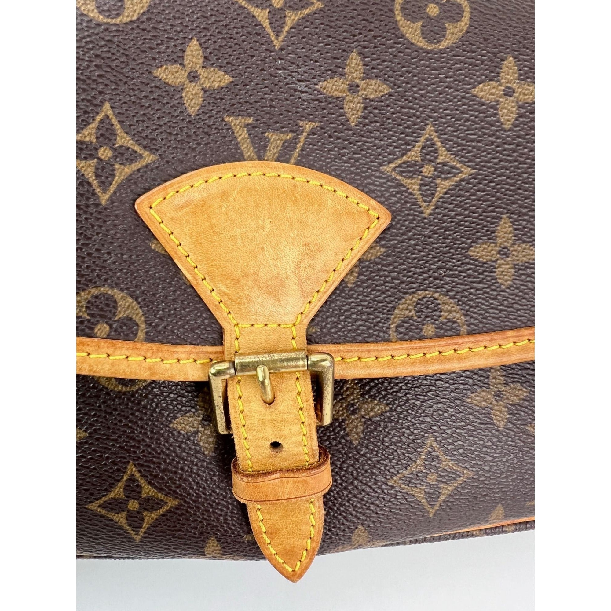 Louis Vuitton Solonge Monogram Vintage Crossbody Bag - 12