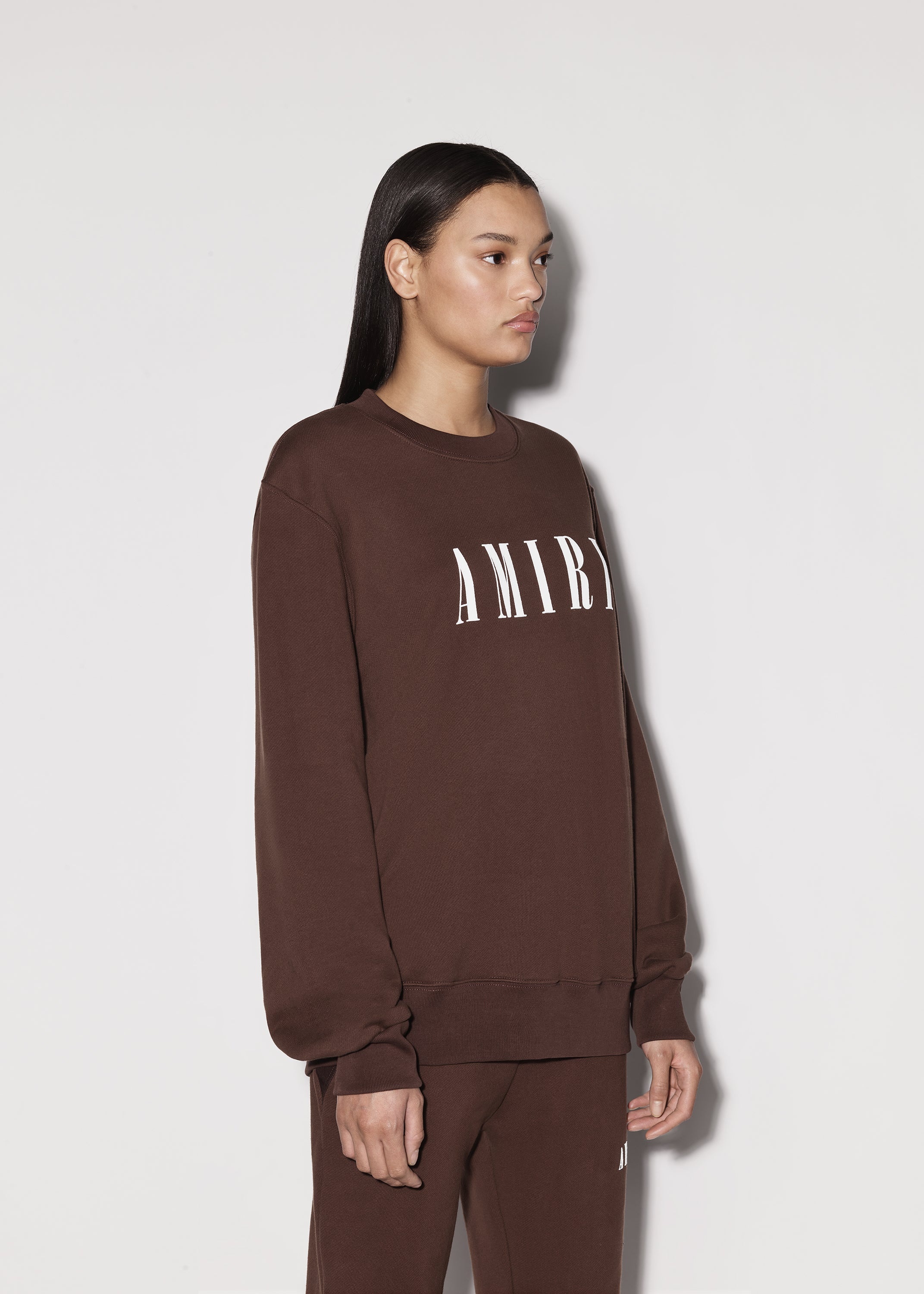 CORE LOGO CREWNECK - 4