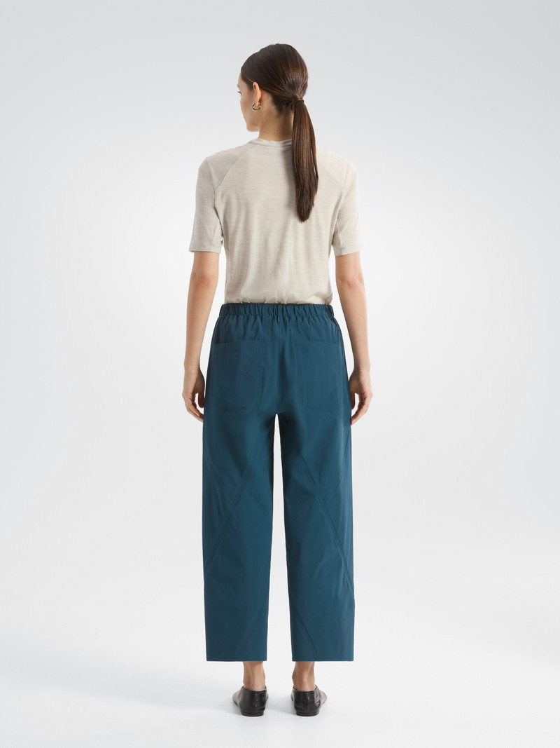 Veilance Dias Pant outlook