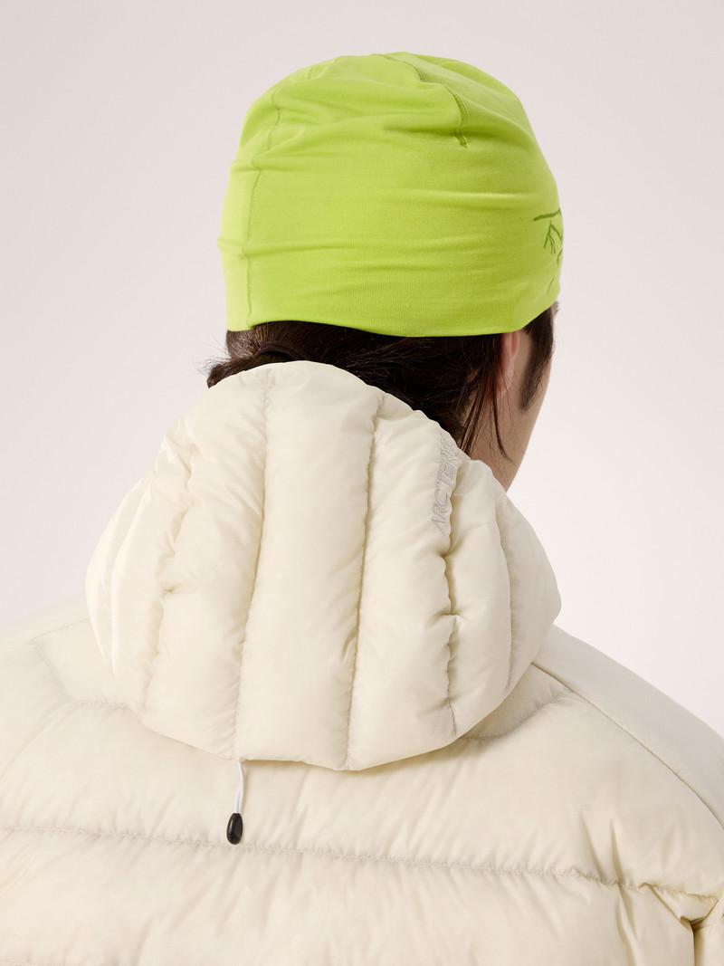 Satoro Merino Toque 6