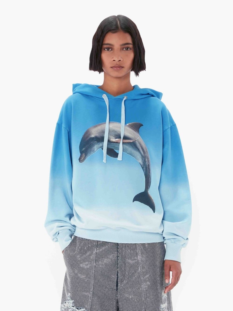 JW Anderson CLASSIC FIT DOLPHIN PRINT HOODIE outlook