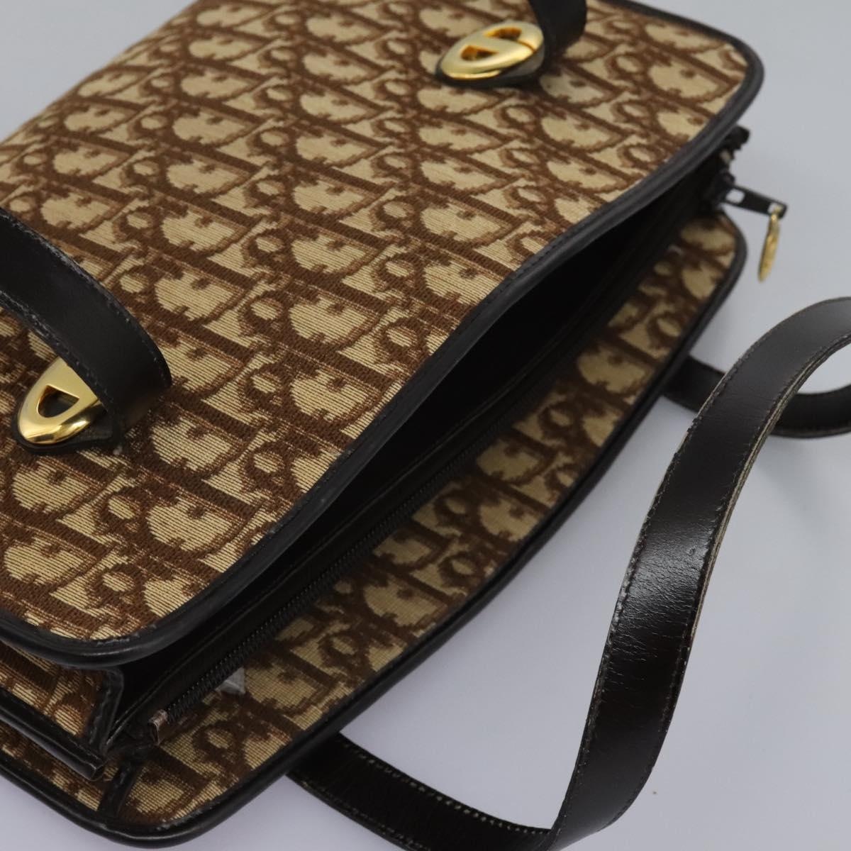 DIOR Trotter Canvas Hand Bag Brown - 6