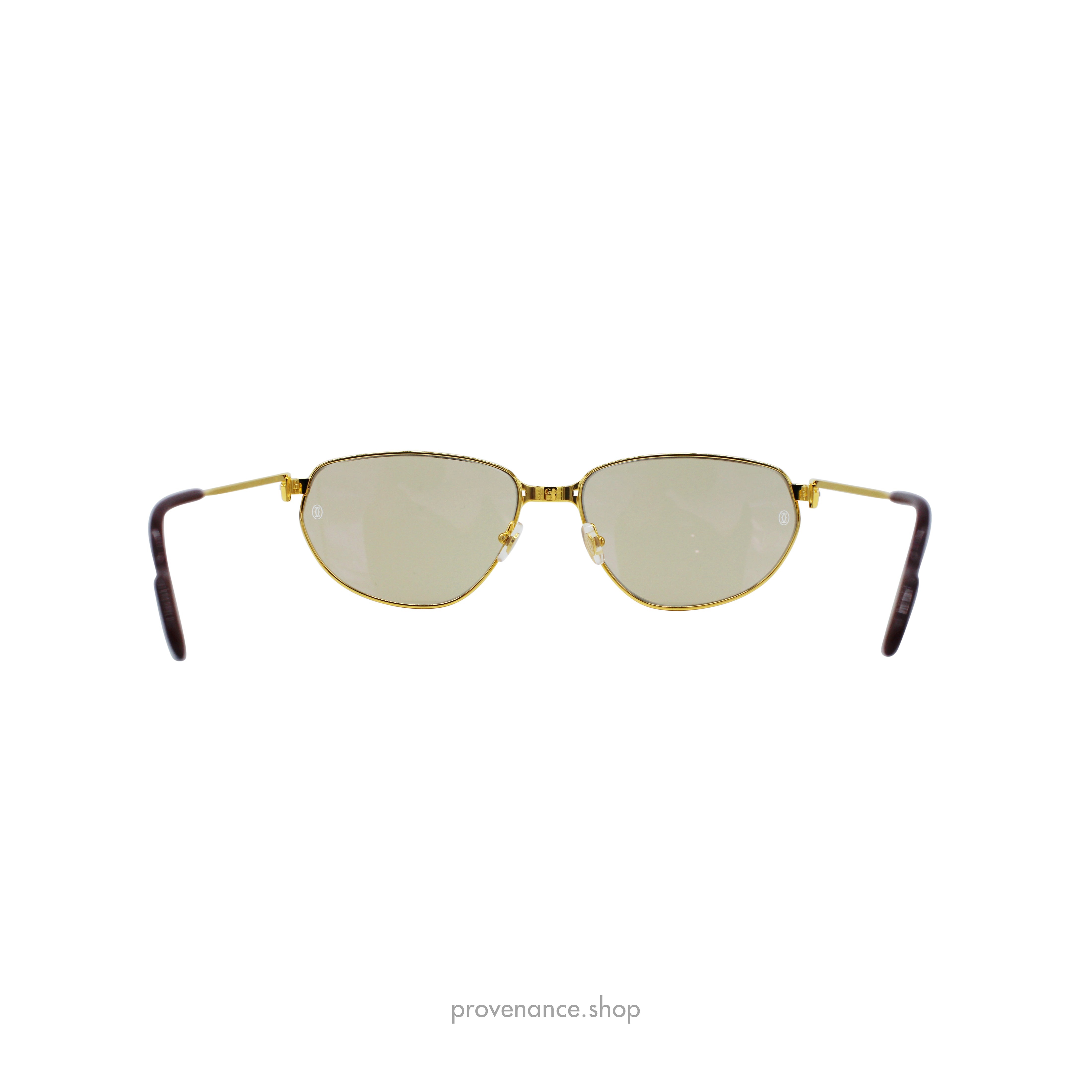 Cartier Panthere Windsor - 3