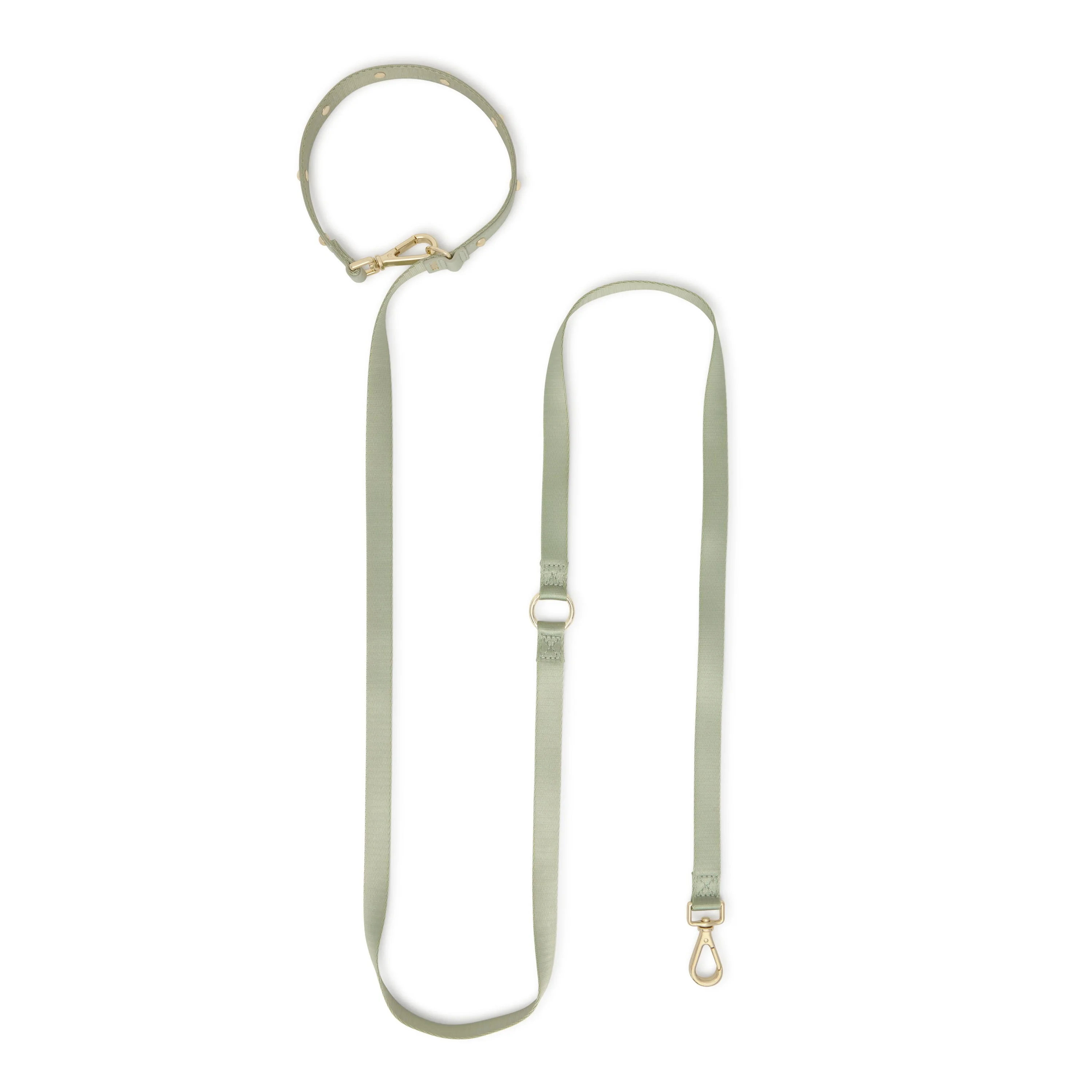 M mint green nylon Dog leash TOUS Dogs Jewelry - 1