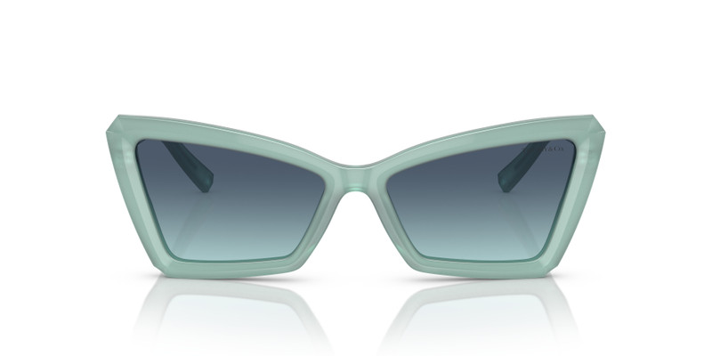 Tiffany & Co. TF4203 outlook