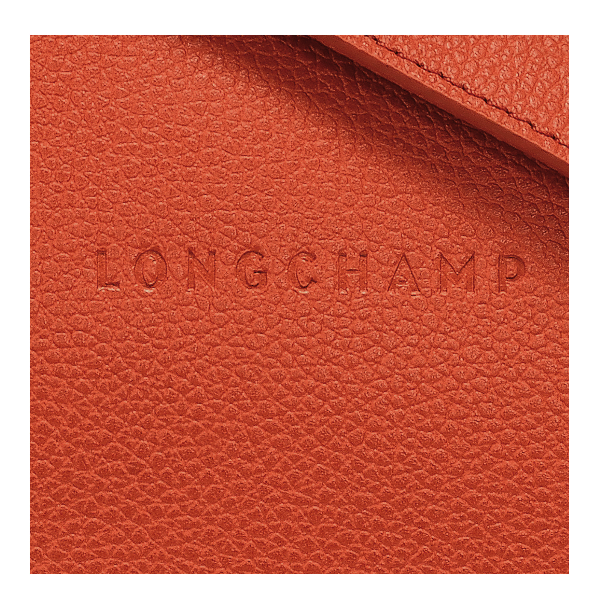 Le Foulonné M Crossbody bag Paprika - Leather - 5