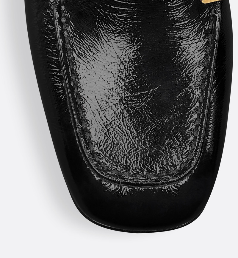Monsieur Dior Loafer 5