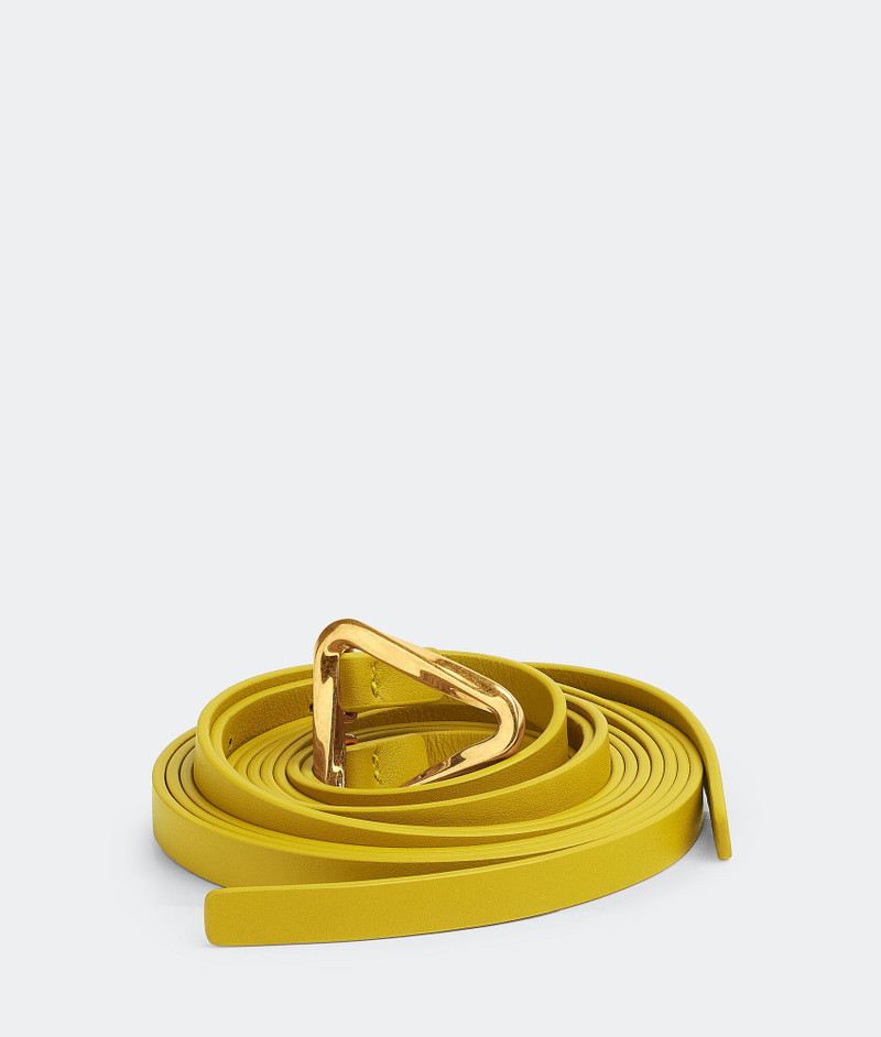 Bottega Veneta grasp belt outlook