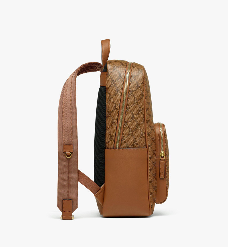 Himmel Backpack in Lauretos 3