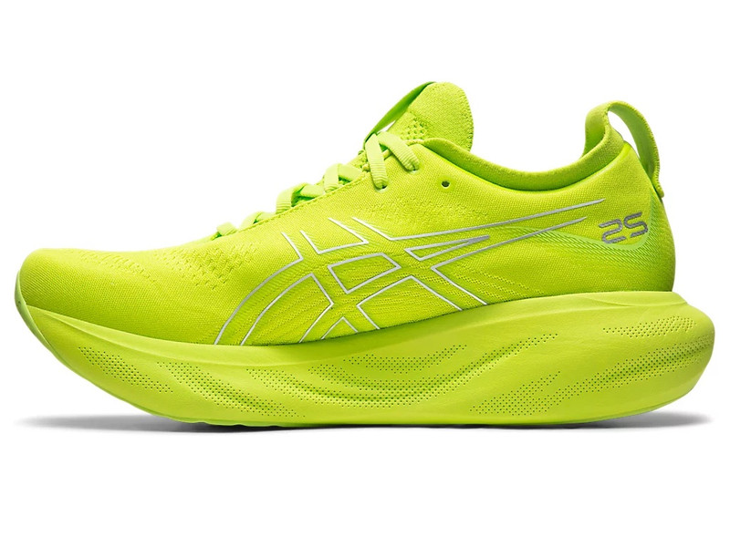 Asics GEL-NIMBUS 25 outlook