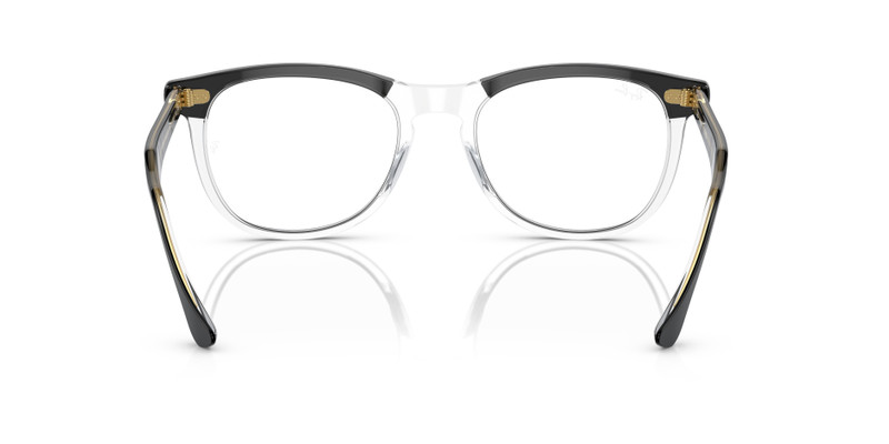 EAGLE EYE TRANSITIONS® 8