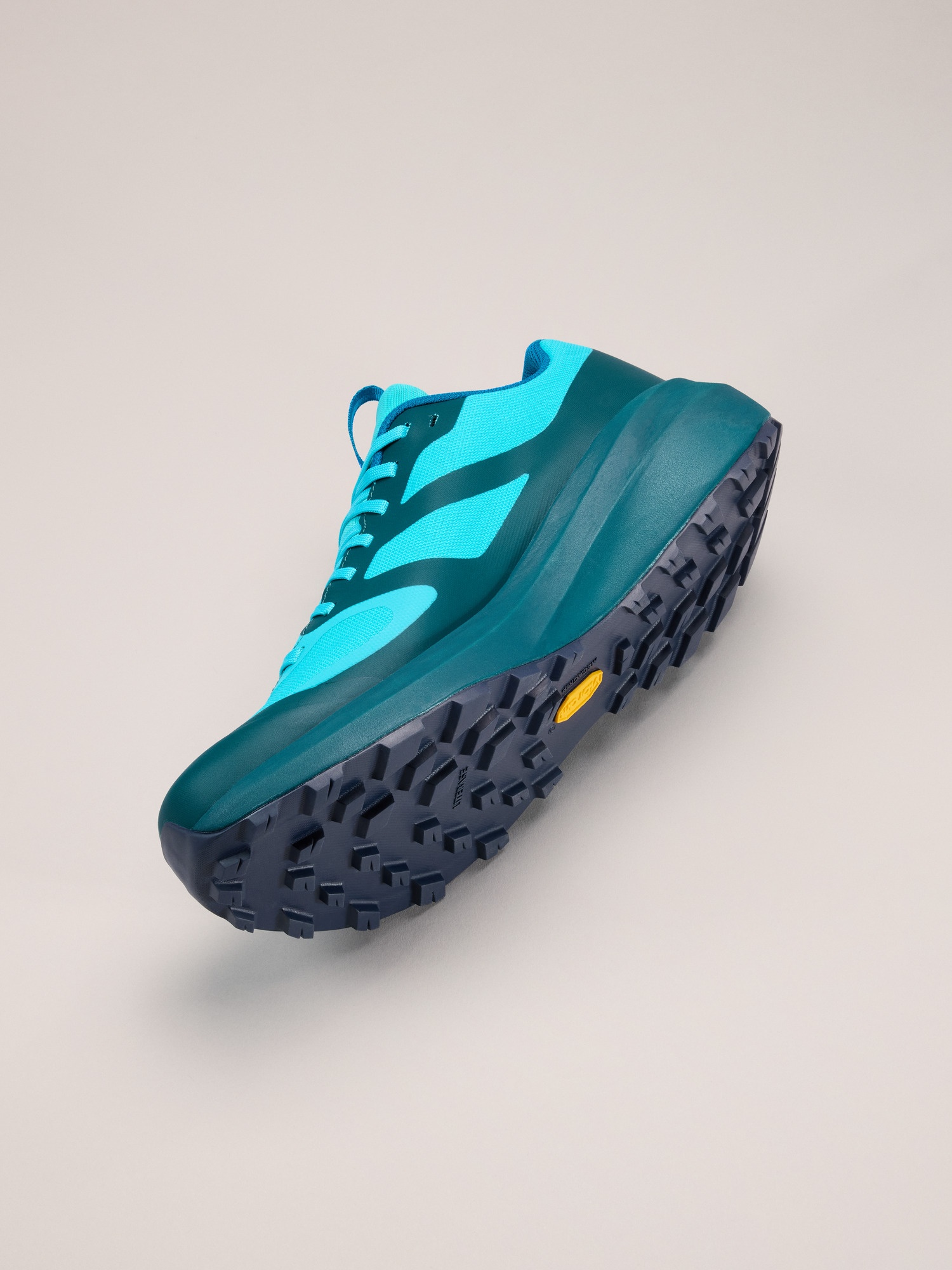 Norvan LD 3 GTX Shoe - 5