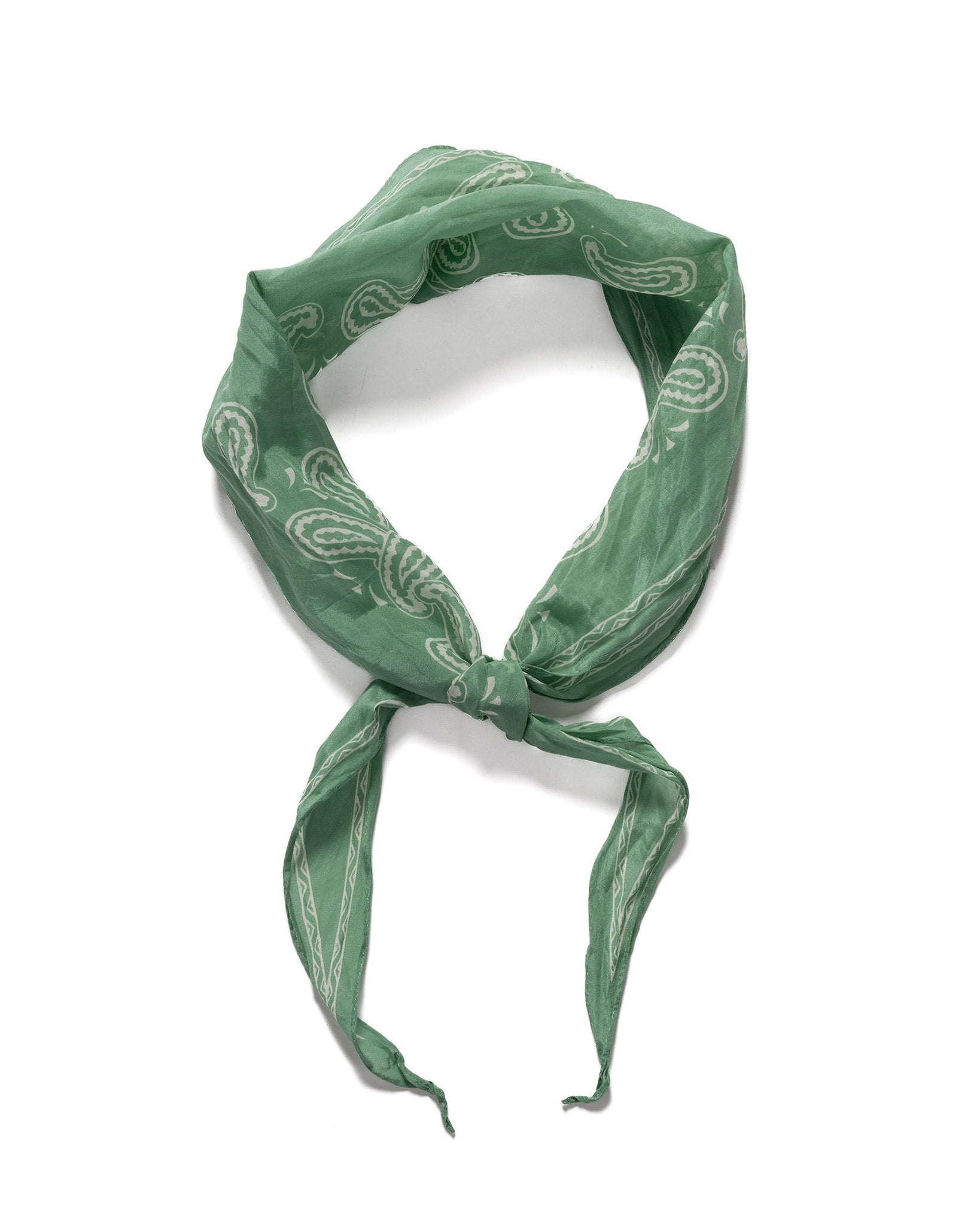 WASHER Crinkle Silk Neckerchief (PECOS Paisley) Light Green - 2