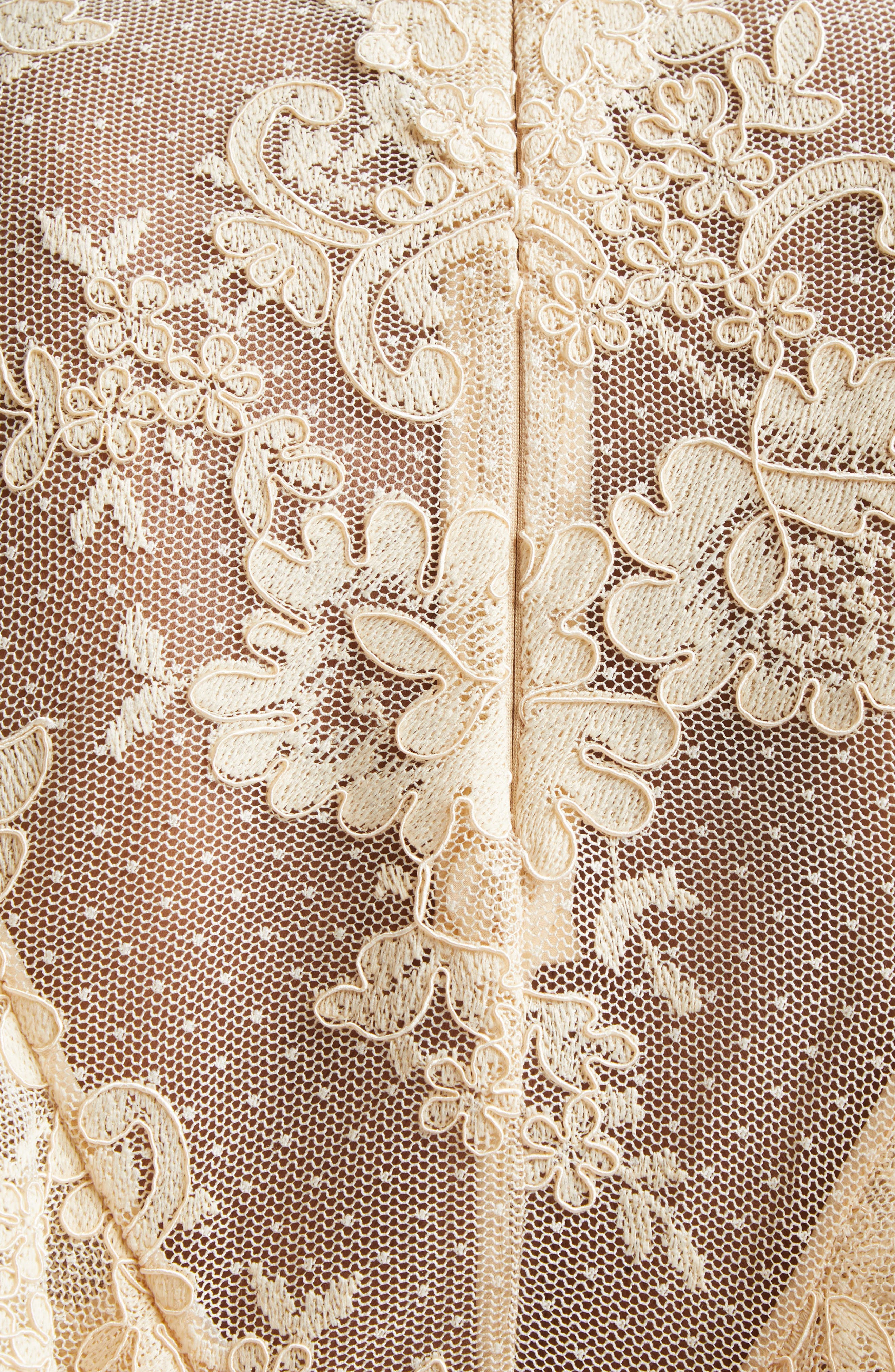 Zimmermann Hypnotic Lace Bandeau Top in Cream at Nordstrom - 7