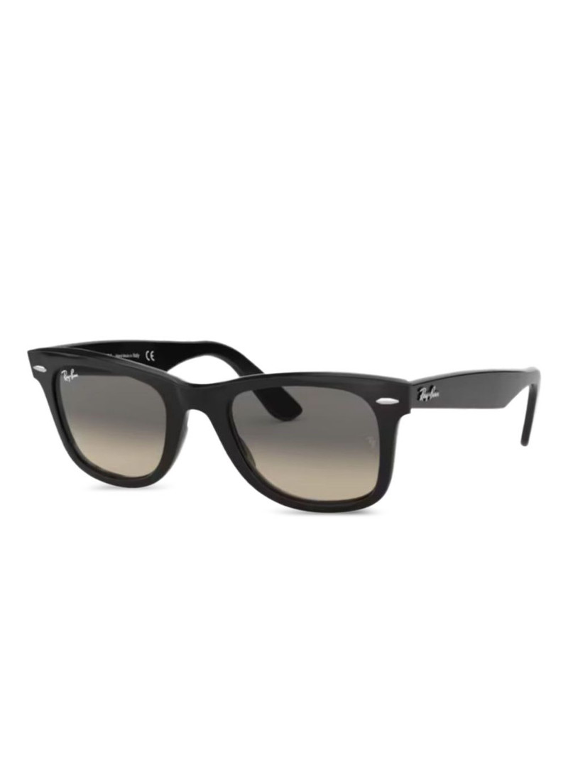 Wayfarer sunglasses 1