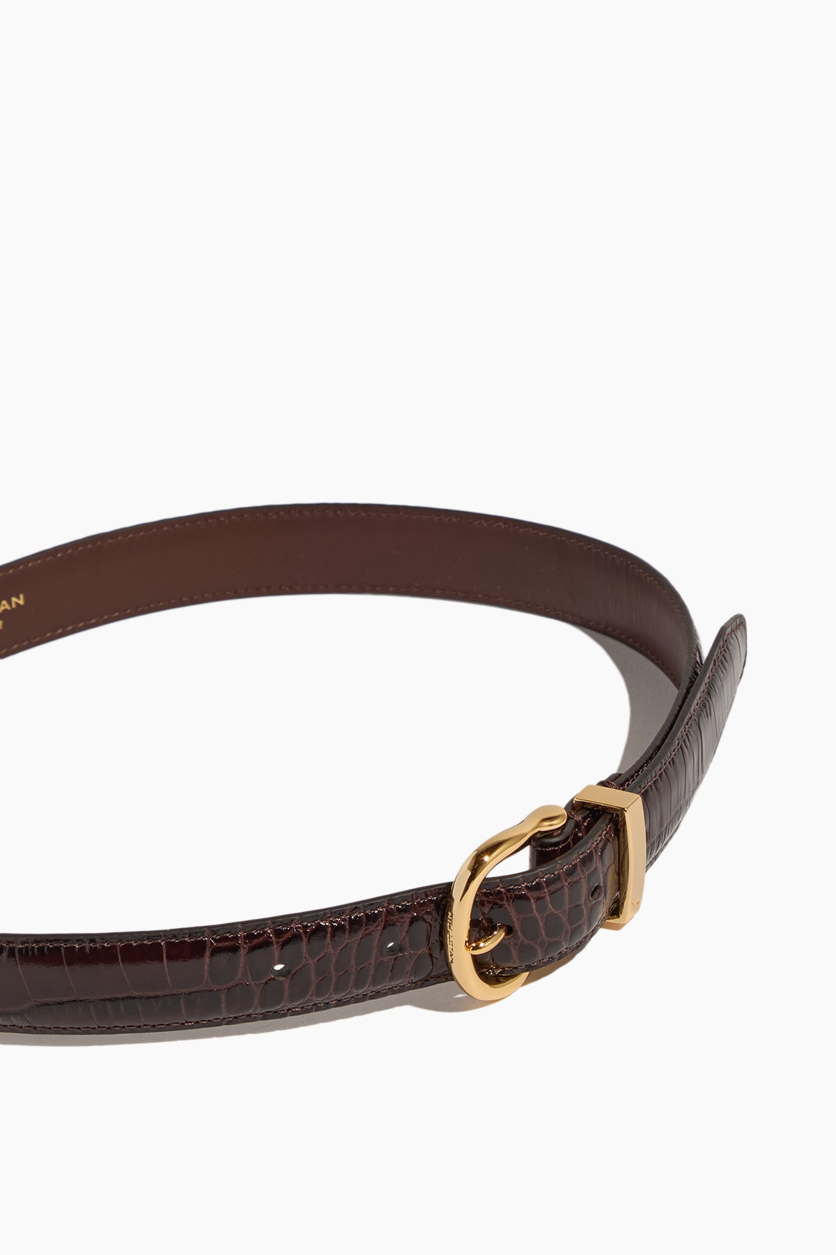 Louise Belt in Dark Brown with Shiny Brass Buckle - 3
