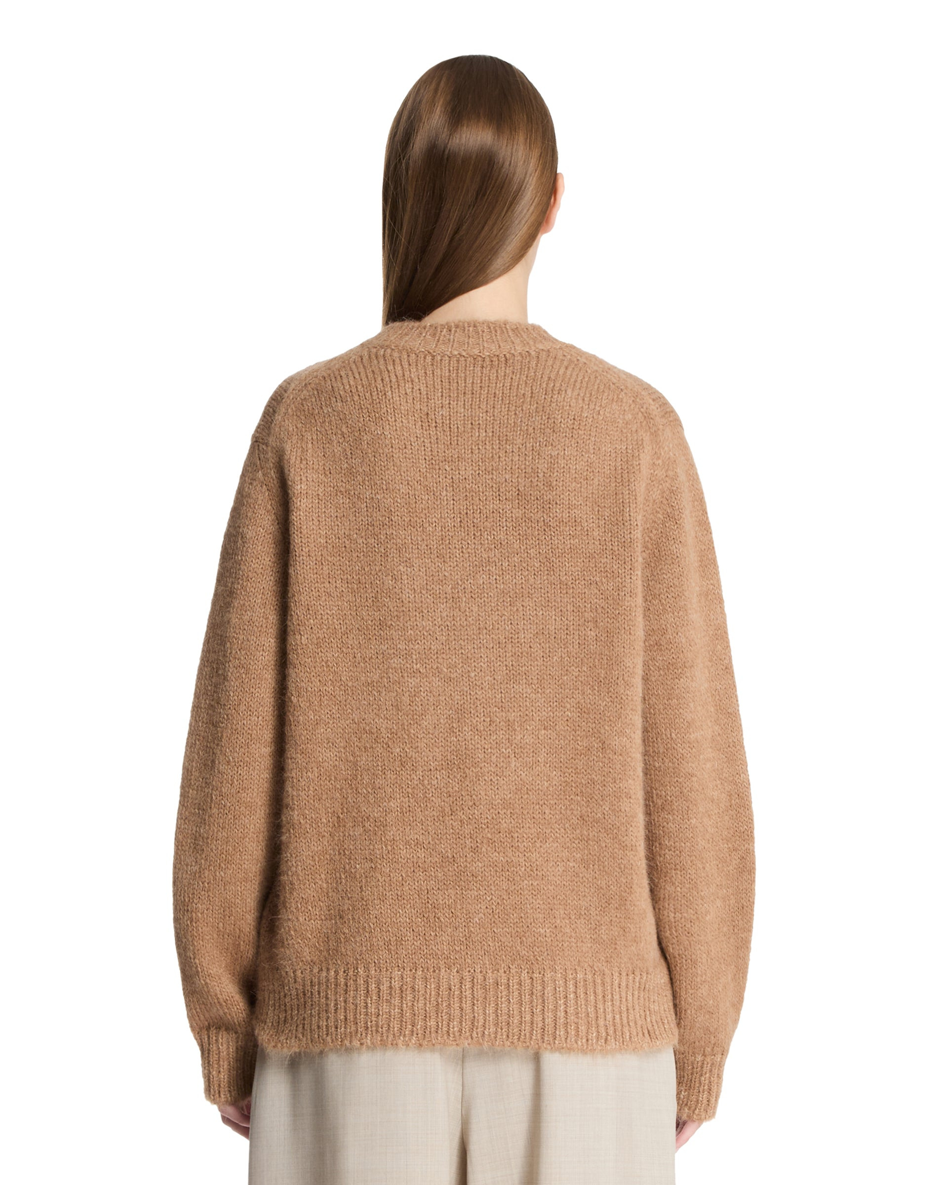 Beige Alpaca and Wool Crewneck Sweater - 3