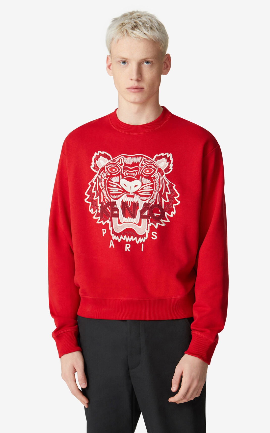 Tiger sweatshirt - 2