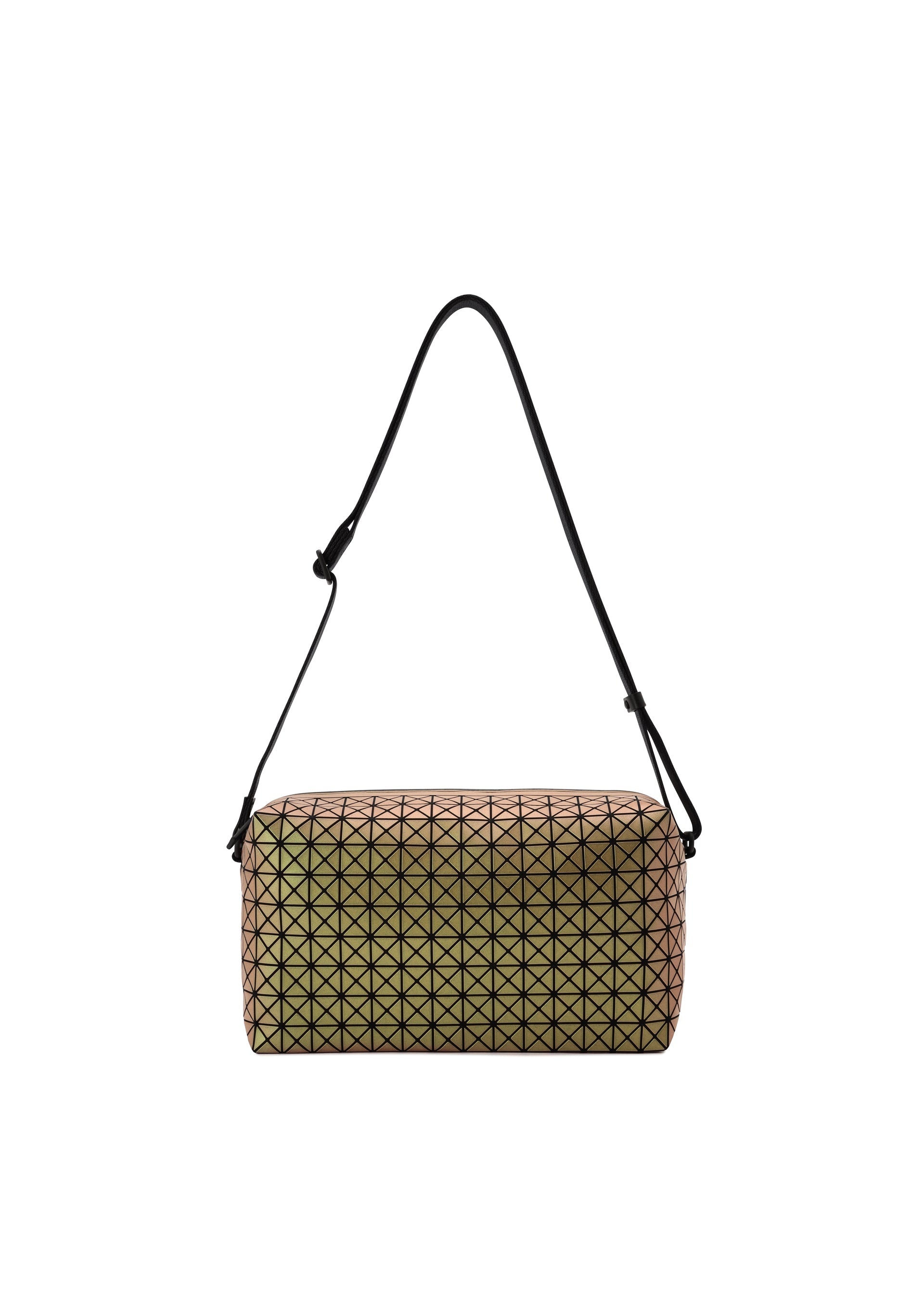 SADDLE BAG INSECT 1