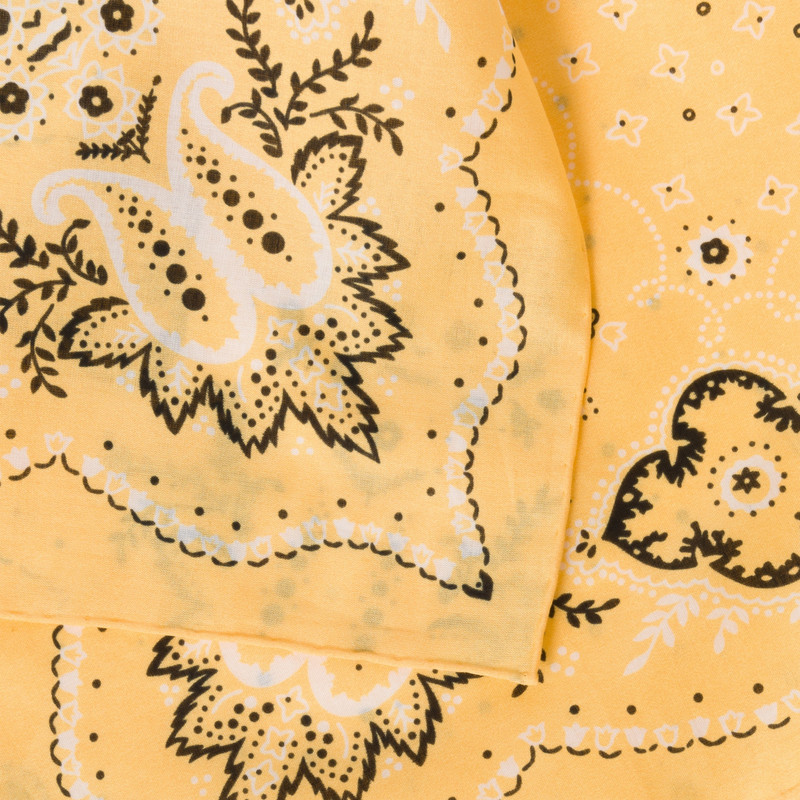 Miu Miu Printed cotton poplin scarf outlook