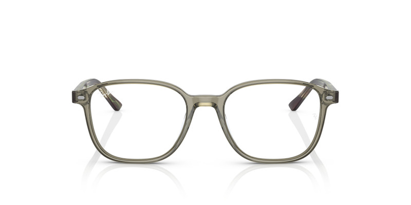 LEONARD OPTICS 4