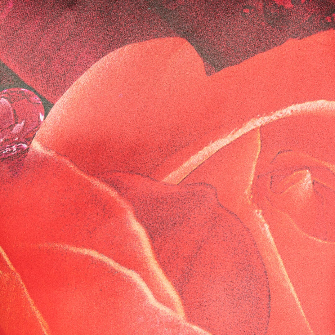Rose-Print Silk Shirt - 5