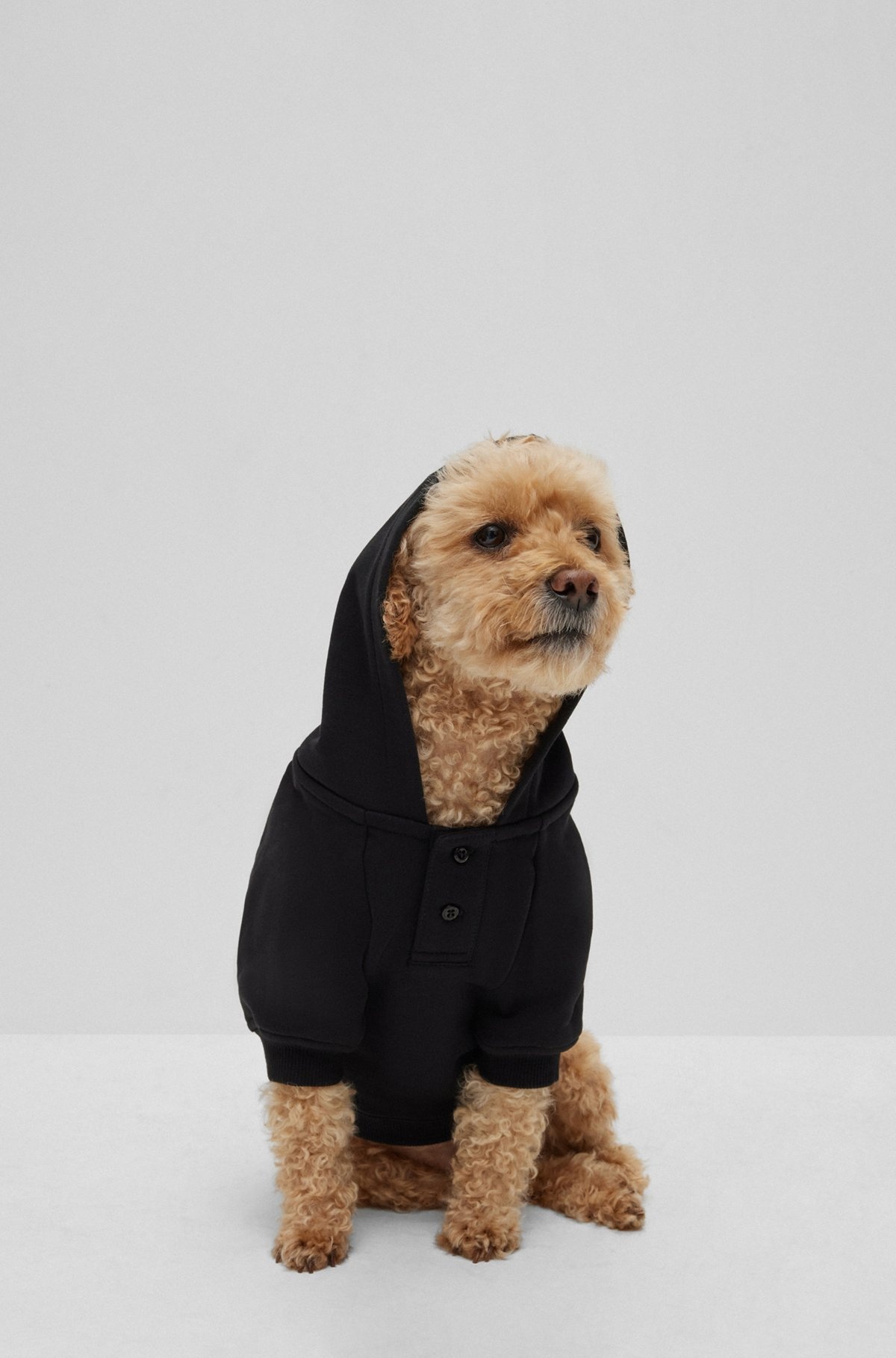 DOG HOODIE IN COTTON WITH KHABY LAME-INSPIRED ARTWORK - 2