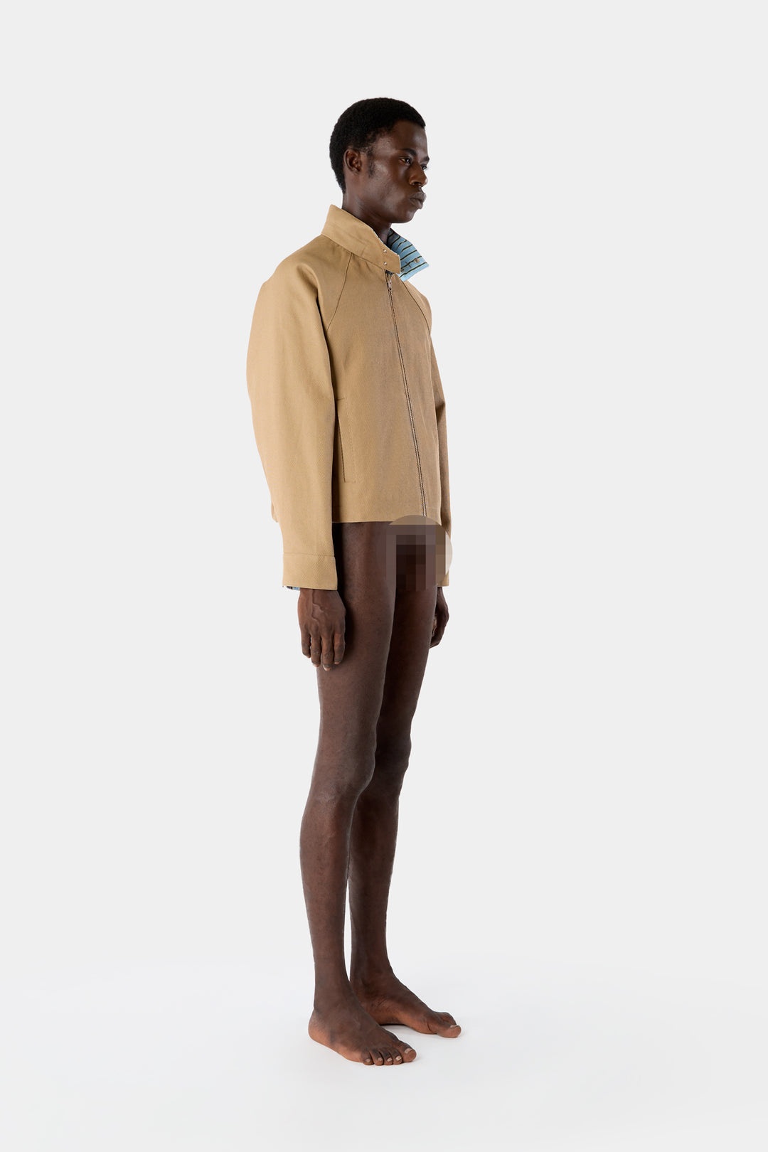 REVERSIBLE AVIATOR JACKET / beige - 2