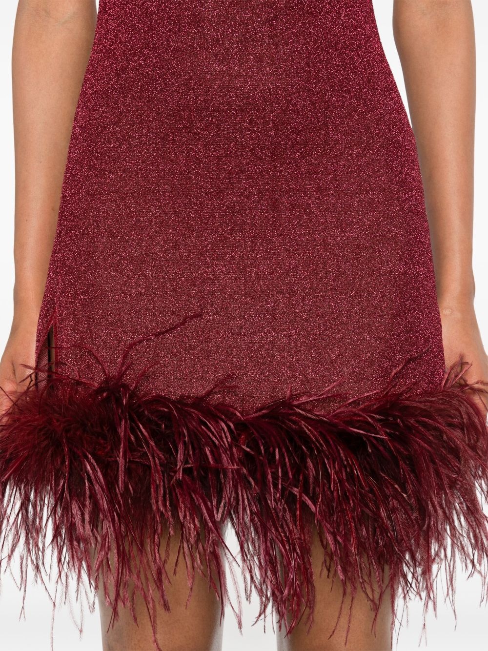 Lumière Plumage mini dress - 5