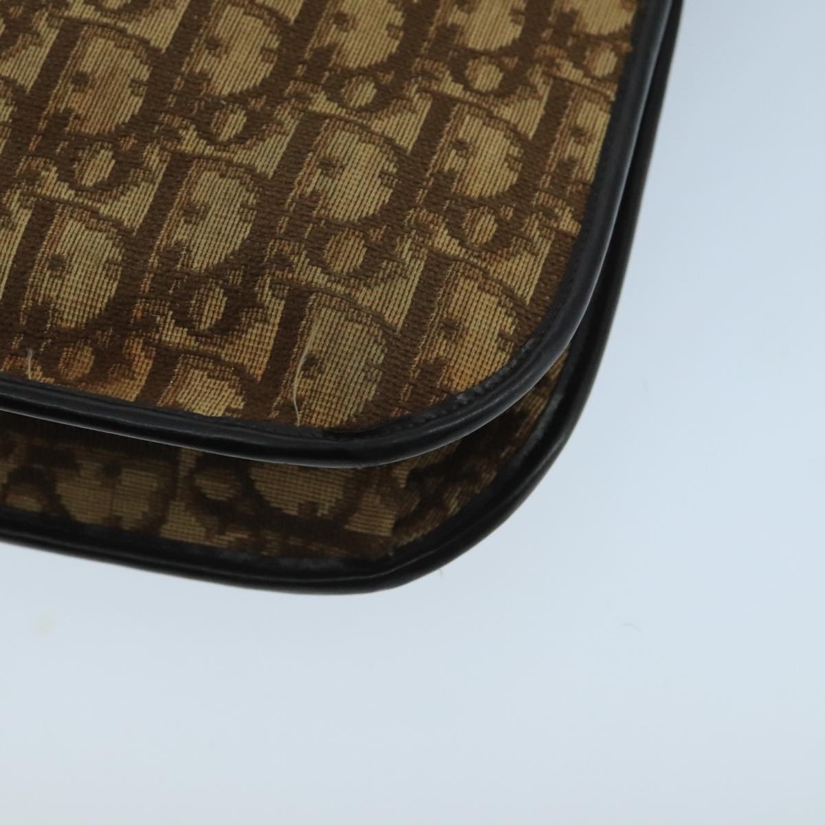 DIOR Trotter Canvas Hand Bag Brown - 15