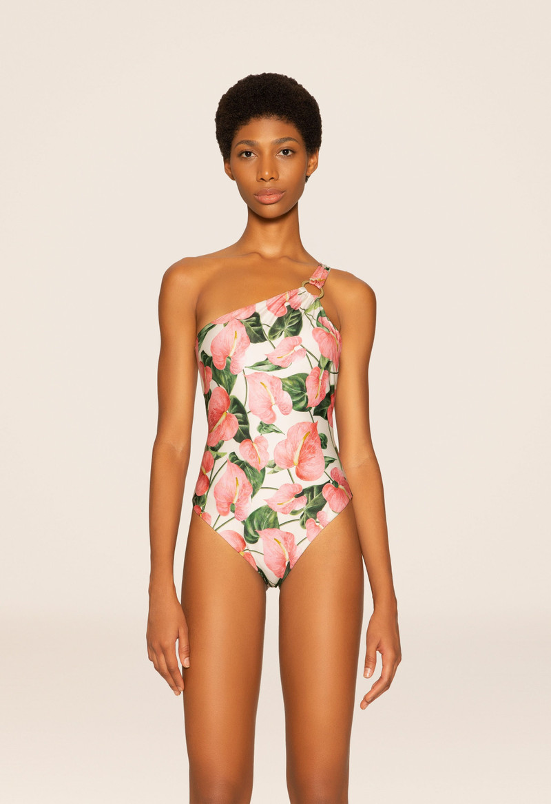 Fresa Anturios One Piece 5