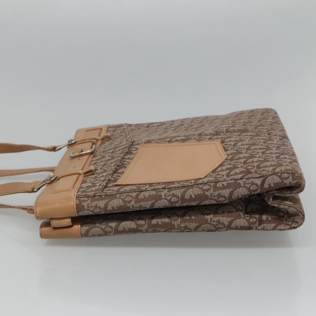 DIOR Trotter Canvas Tote Bag Brown Beige Silver - 4