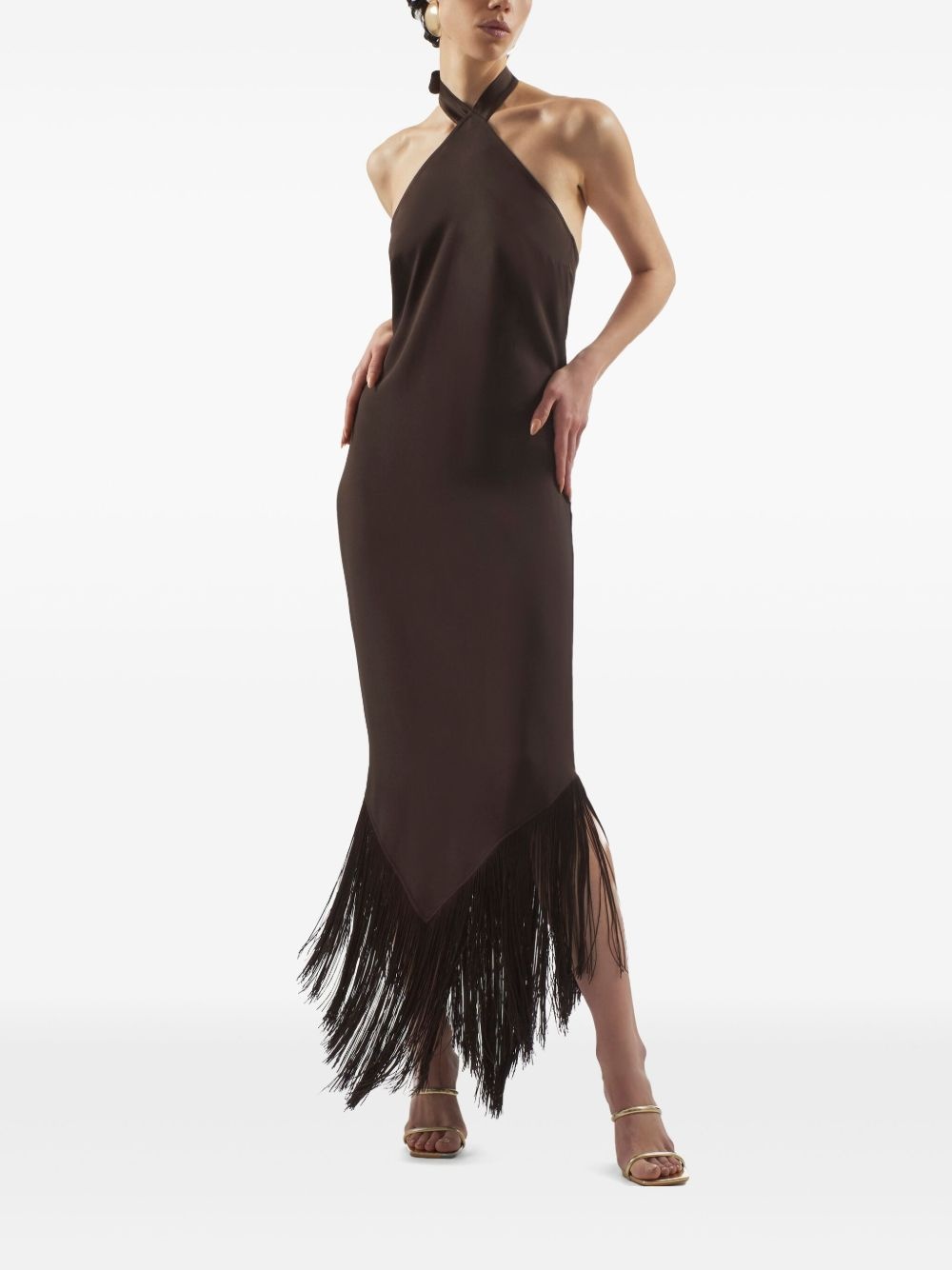 Nina maxi dress - 4