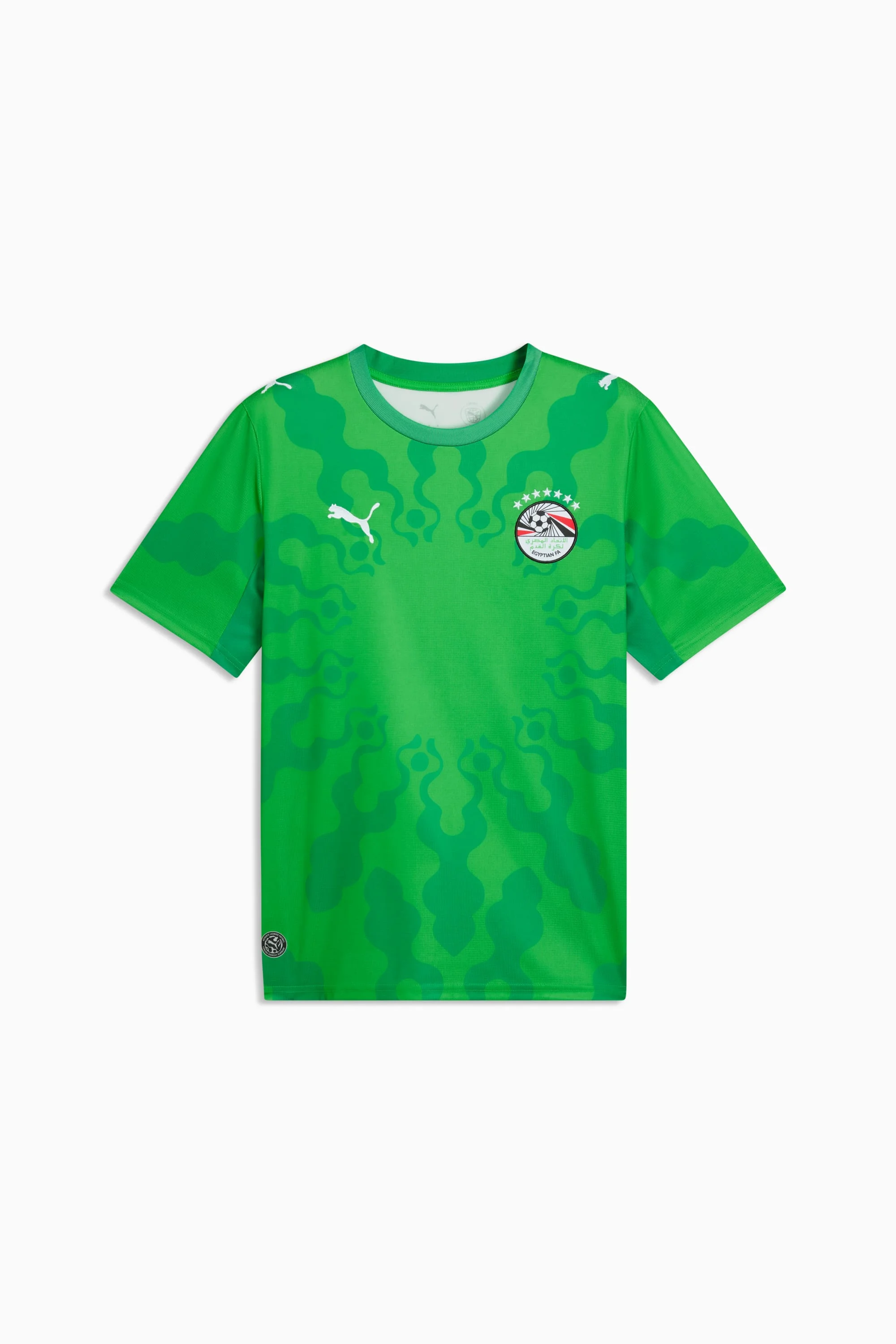 PUMA x EGYPT x SALEHE BEMBURY Men's Goalkeeper Jersey - 1