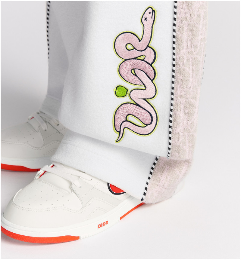 Dior DIOR AND KAWS Track Pants outlook