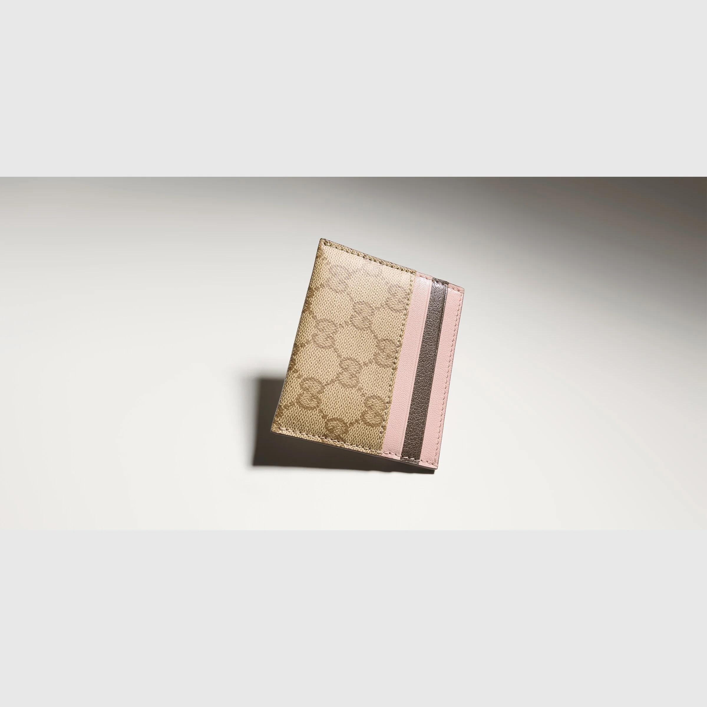 Zip card case with multicolor slots - 1