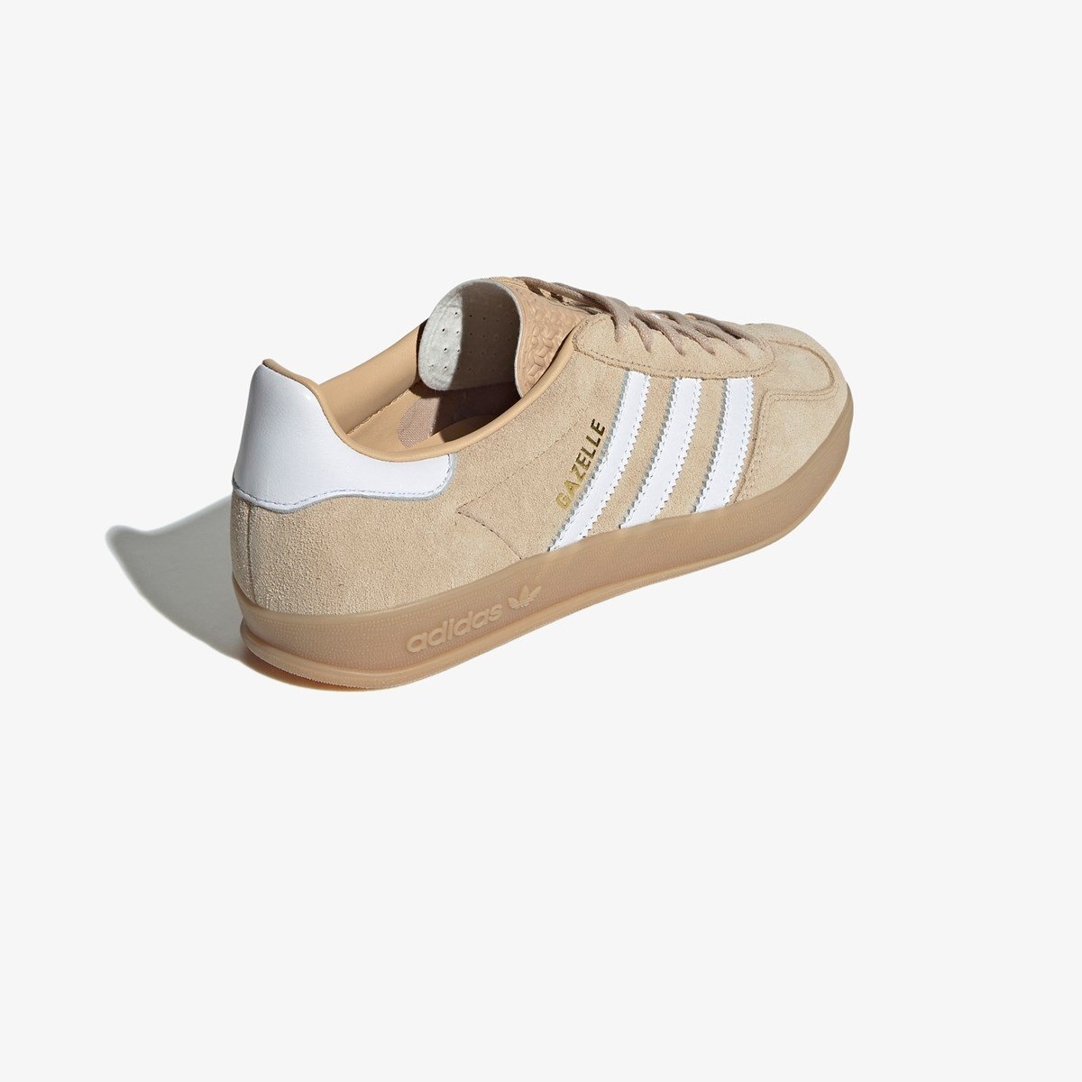 Gazelle Indoor - 6