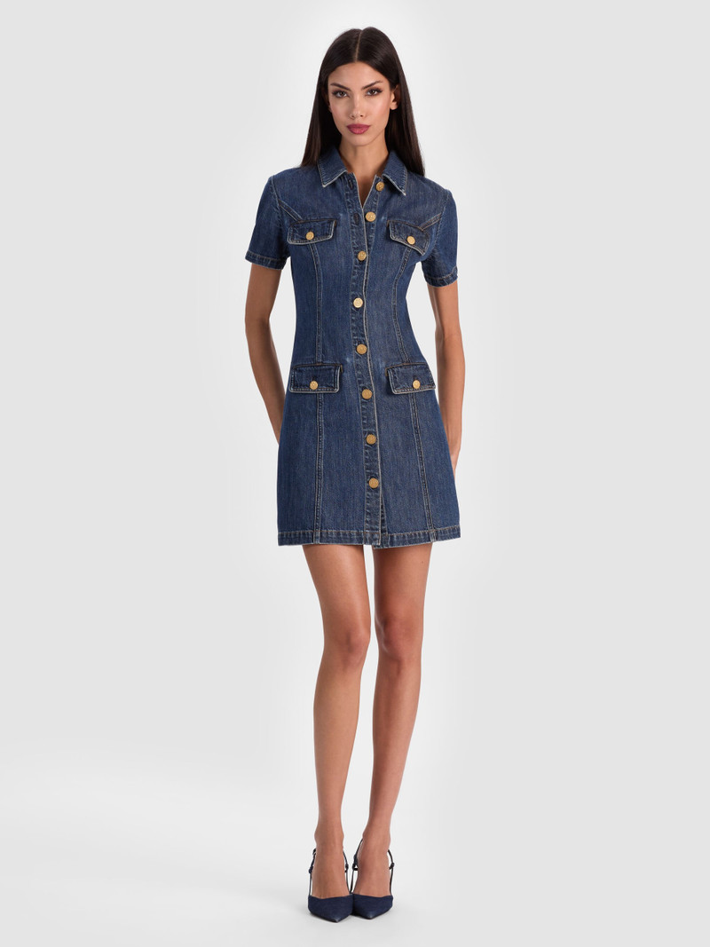 JAMIE DENIM MINI DRESS 2