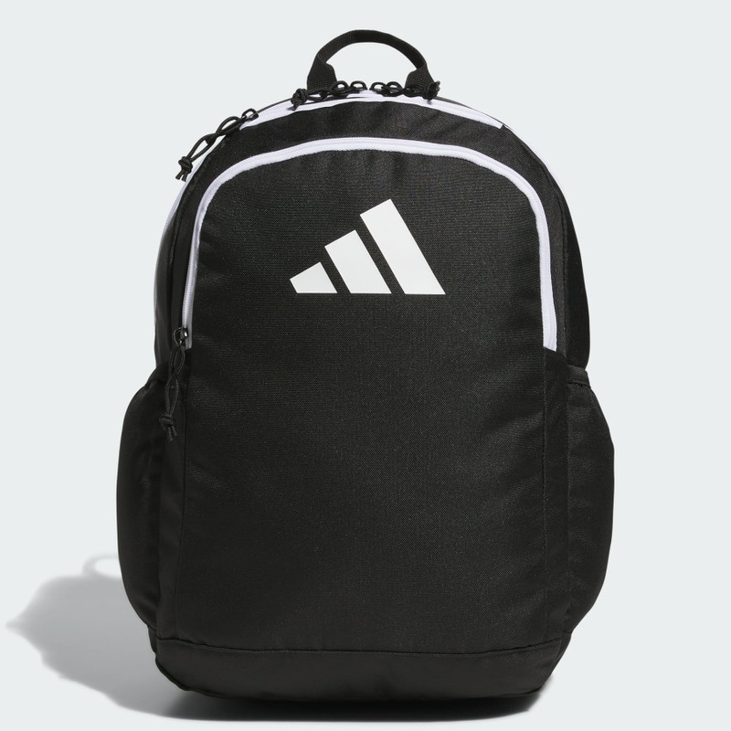 Affiliate Backpack 1