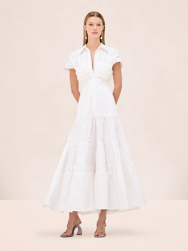 ALEXIS CAROSINI DRESS outlook